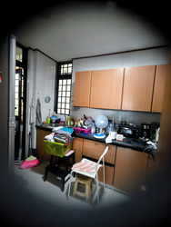 Spring Grove (D10), Condominium #478914731